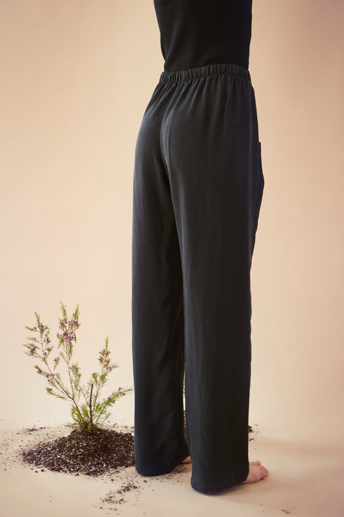 Datura Pant