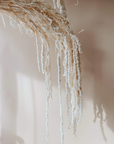 White Hanging Amaranthus