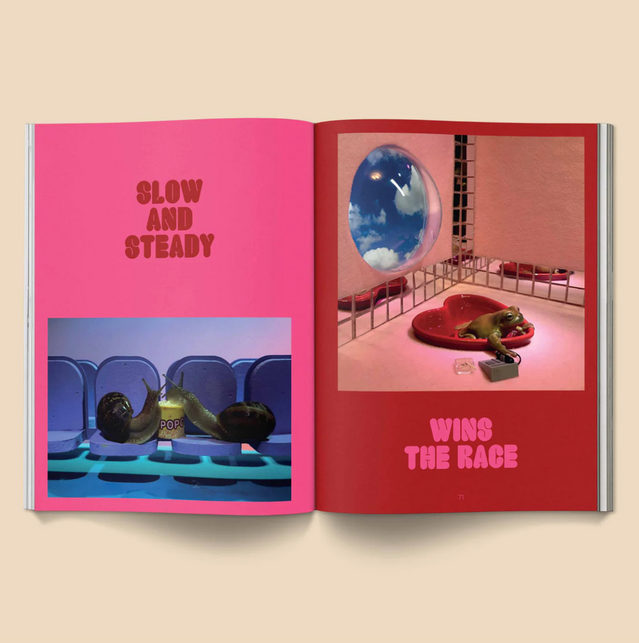 Snail world: life in the slimelight book