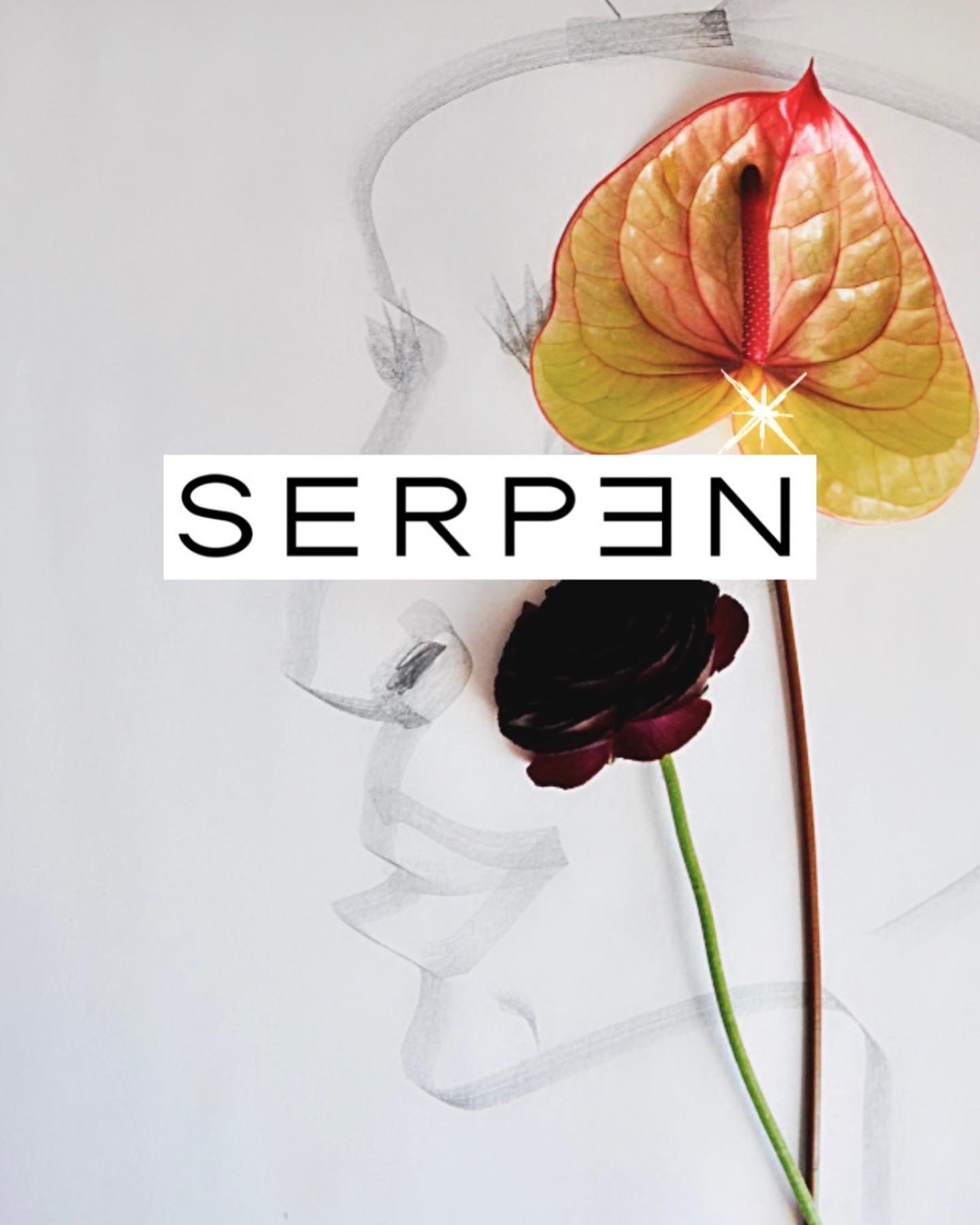 Figure Drawing Wednesday’s Sweatshirt